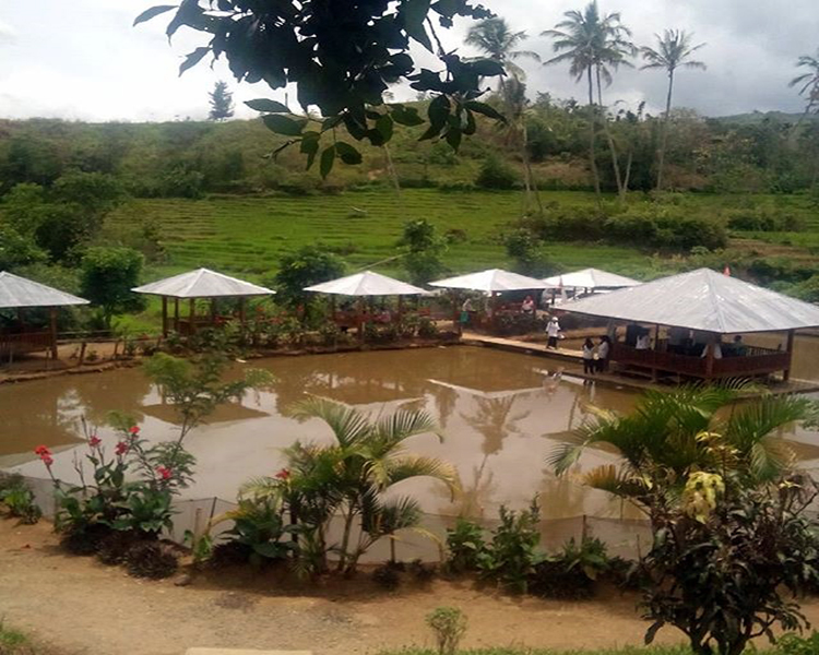 Taman Putri saja Taman Putri saja